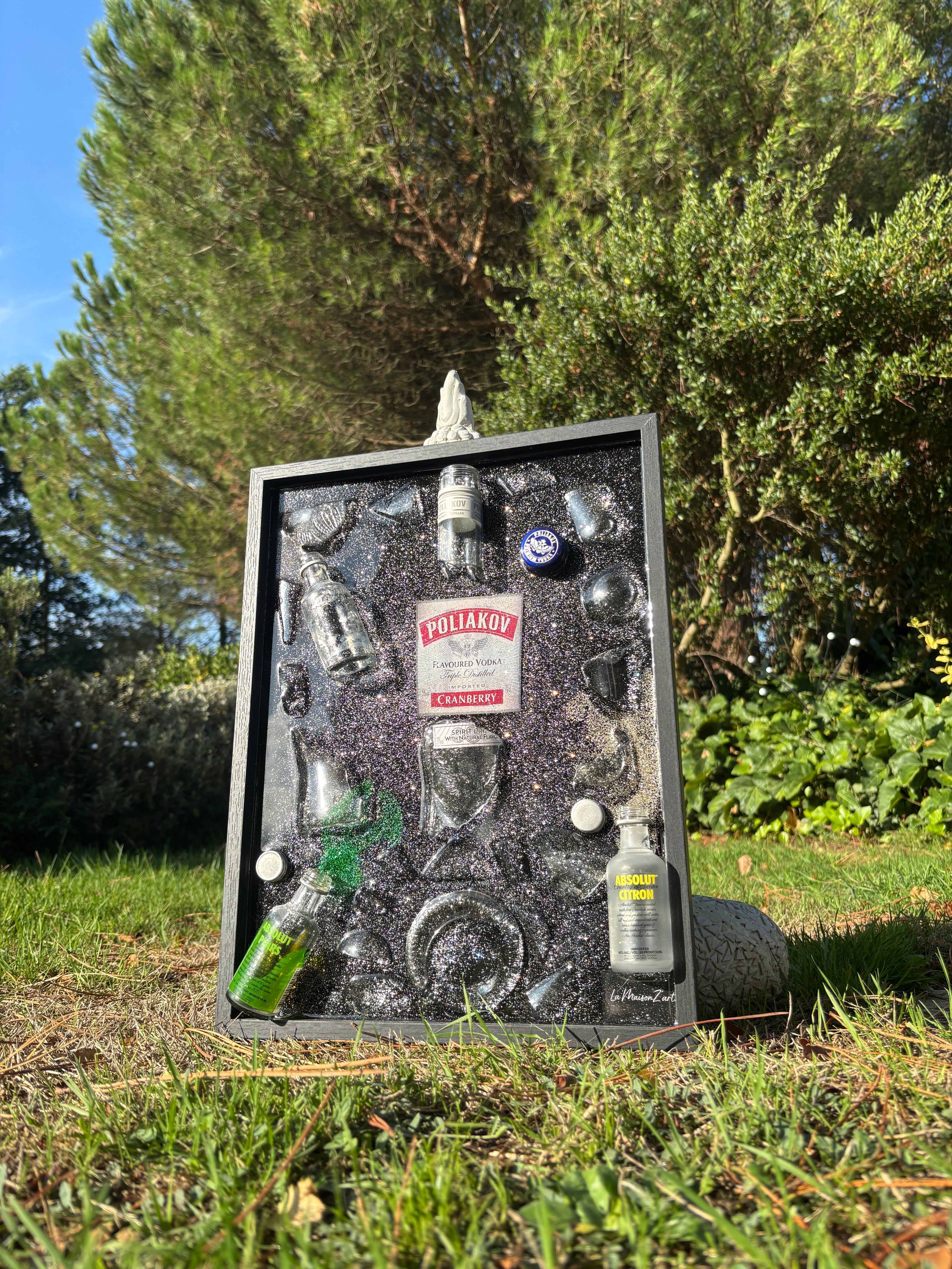 Tableau - Vodka Poliakov & Absolut