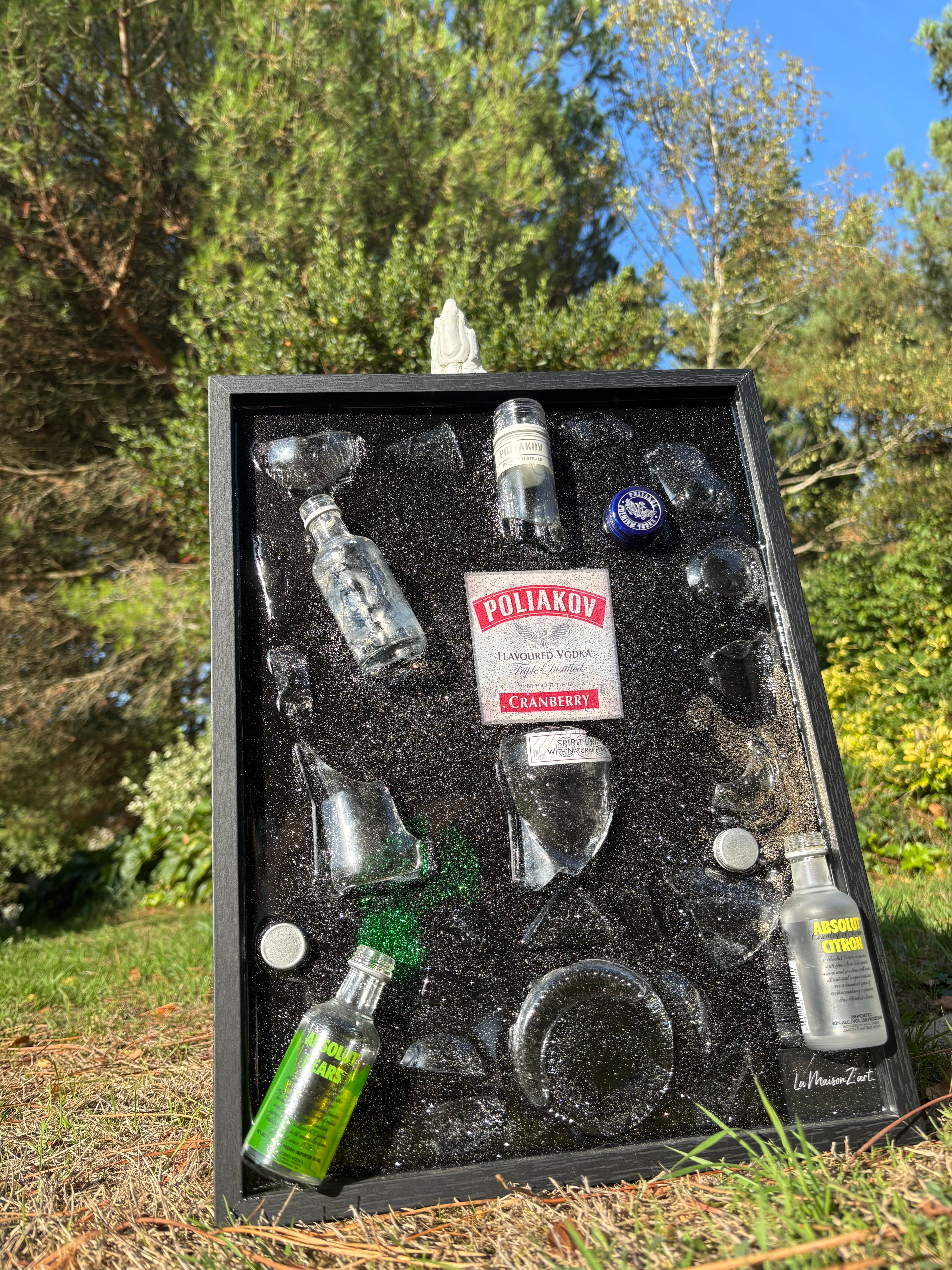Tableau - Vodka Poliakov & Absolut