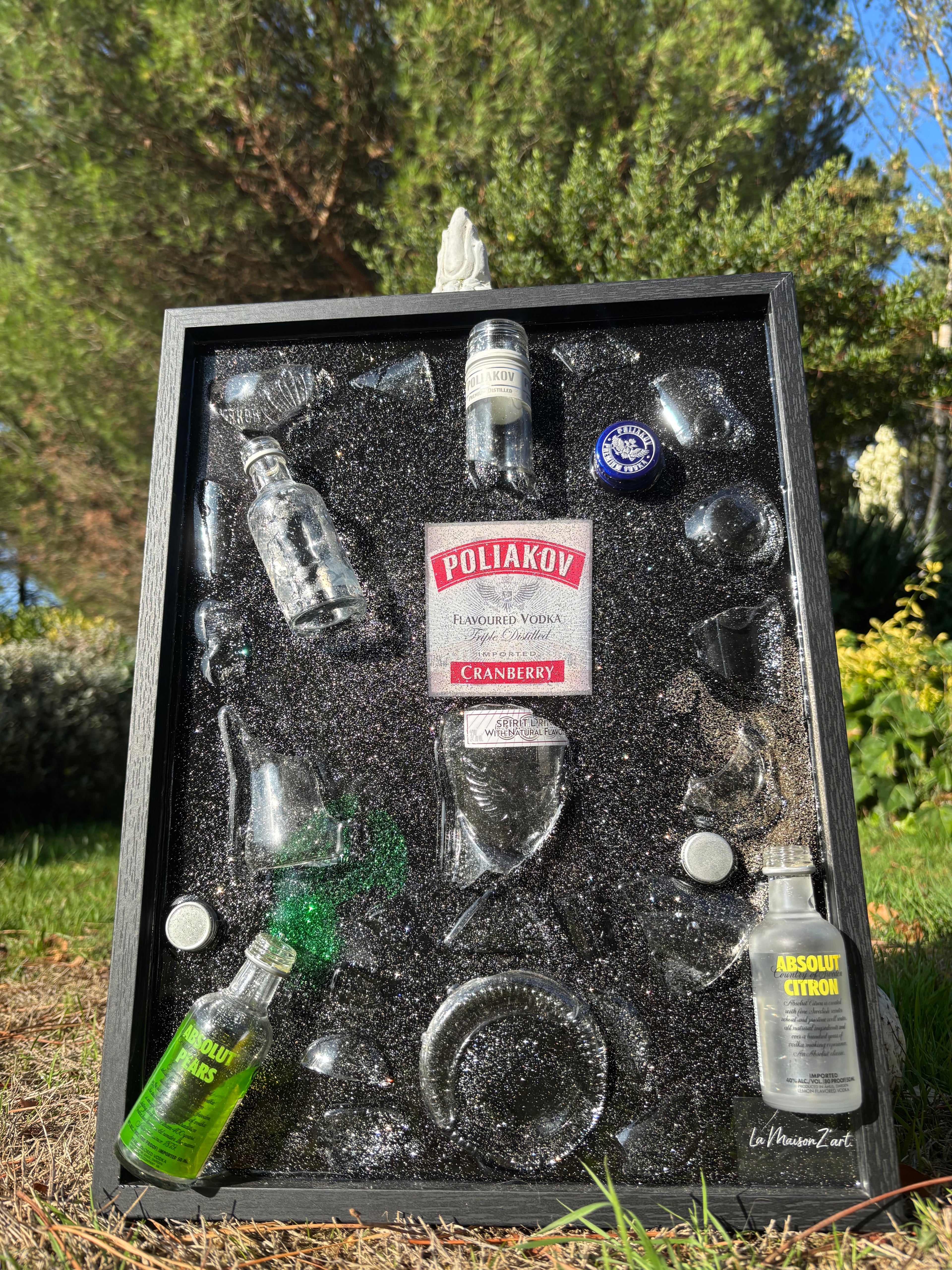 Tableau - Vodka Poliakov & Absolut