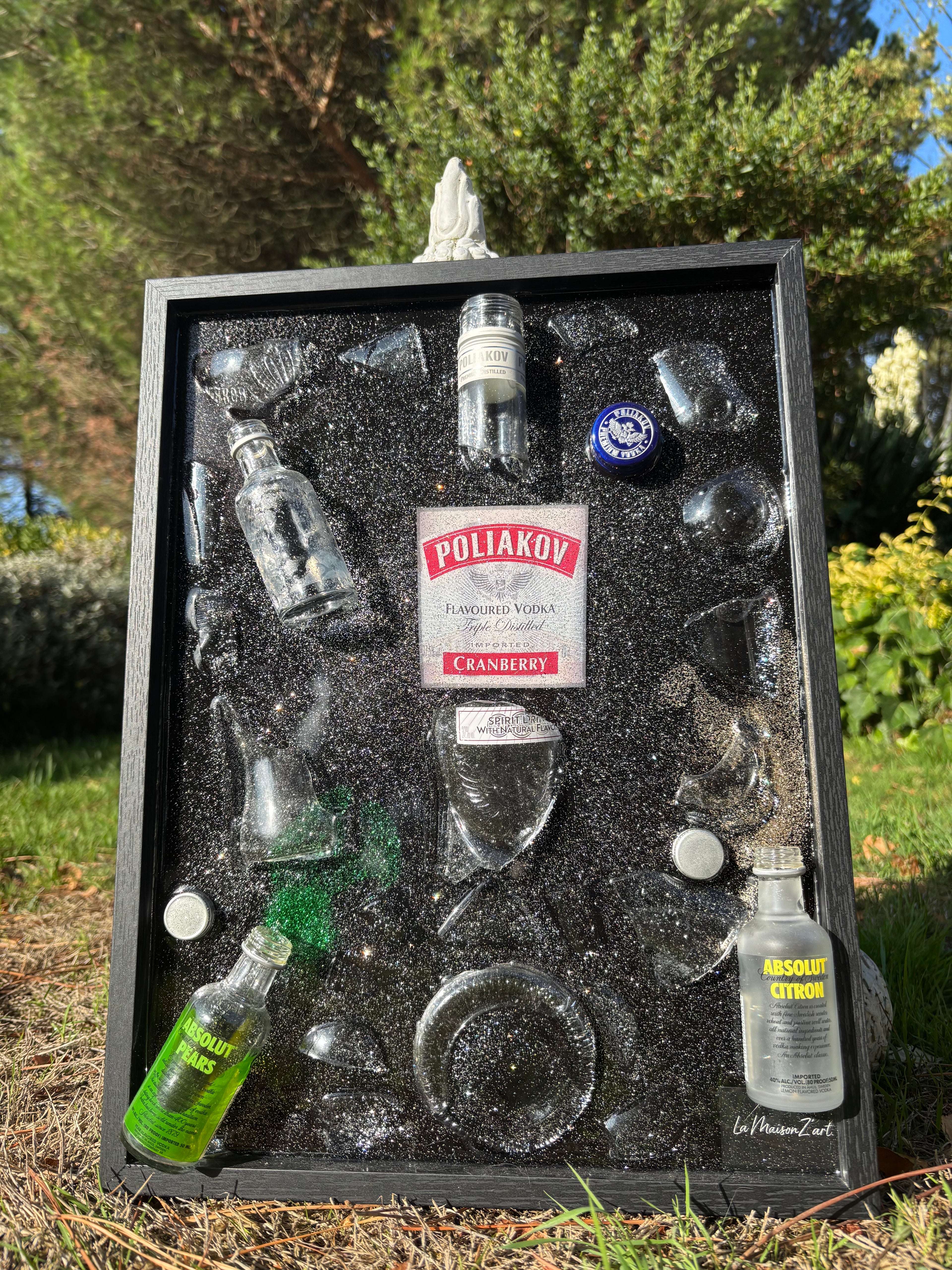 Tableau - Vodka Poliakov & Absolut